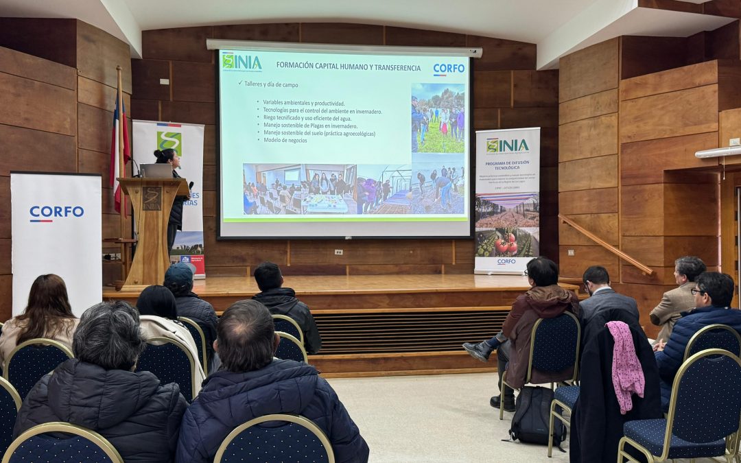 INIA Remehue y CORFO impulsan la producción sostenible de hortalizas en la Región de Los Lagos