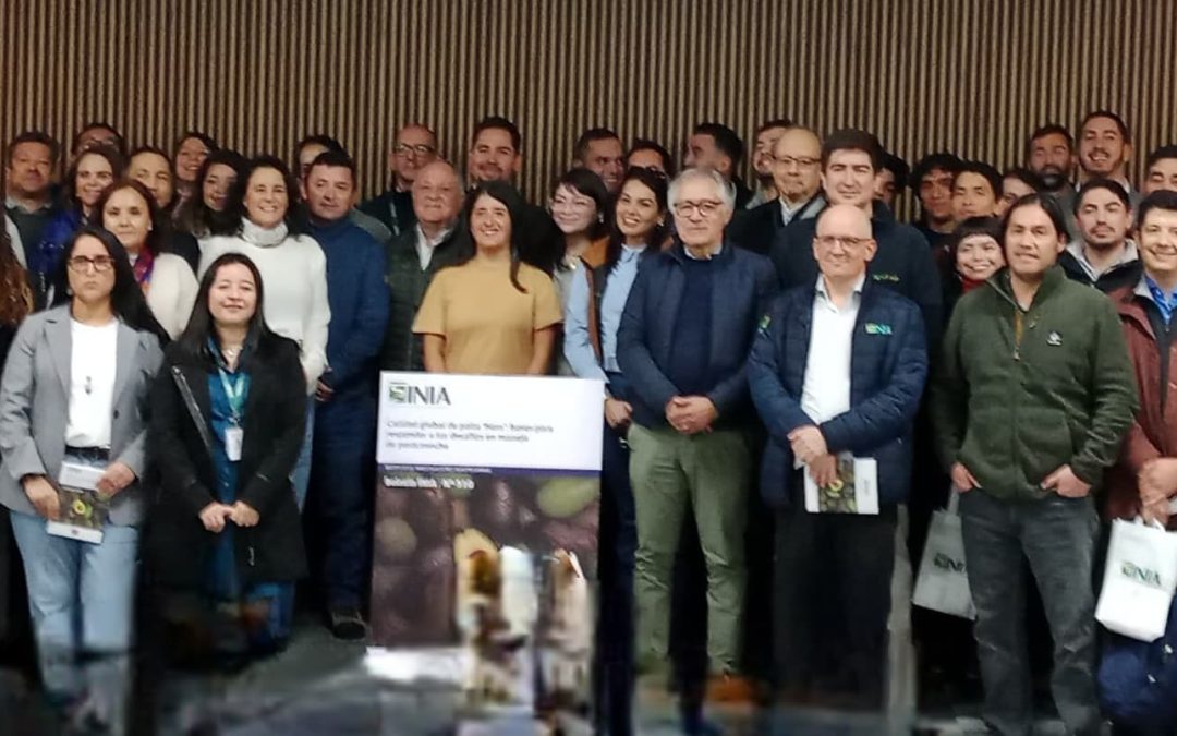 Calidad global de palta Hass: INIA presenta nuevo boletín técnico para enfrentar los desafíos de postcosecha