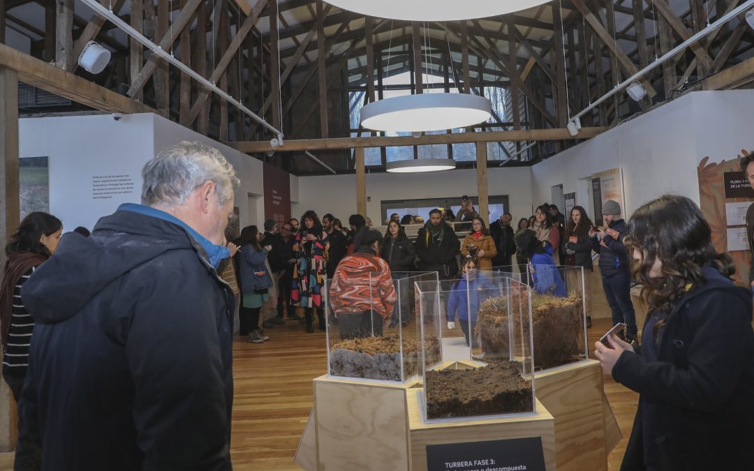 Turberas: un tesoro escondido en la Patagonia abrió sus puertas al público en el Museo Regional de Aysén