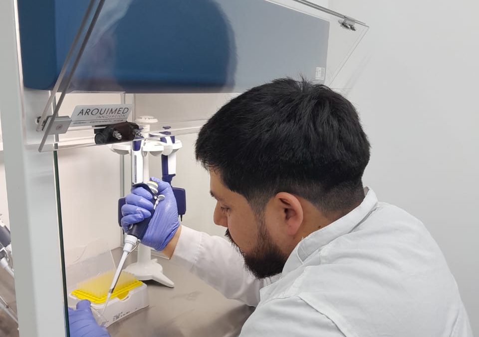 Del laboratorio a la industria: INIA La Platina presenta técnica que detecta enzimas microbianas de forma más económica