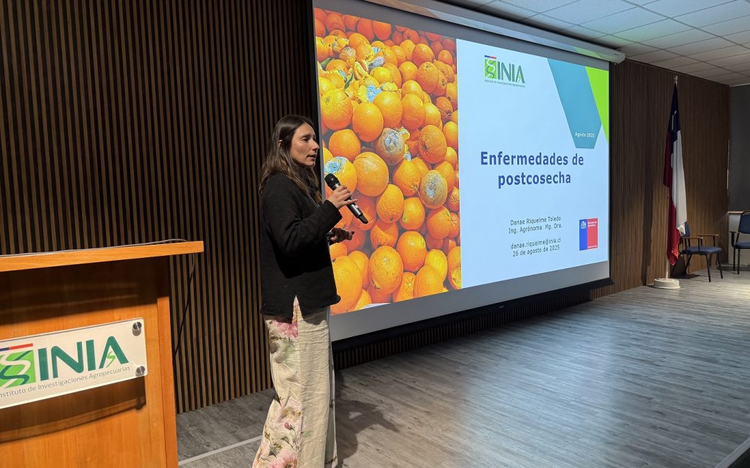 Dispositivo portátil para detección de plaguicidas: INIA La Platina cierra proyecto Fondef con seminario técnico