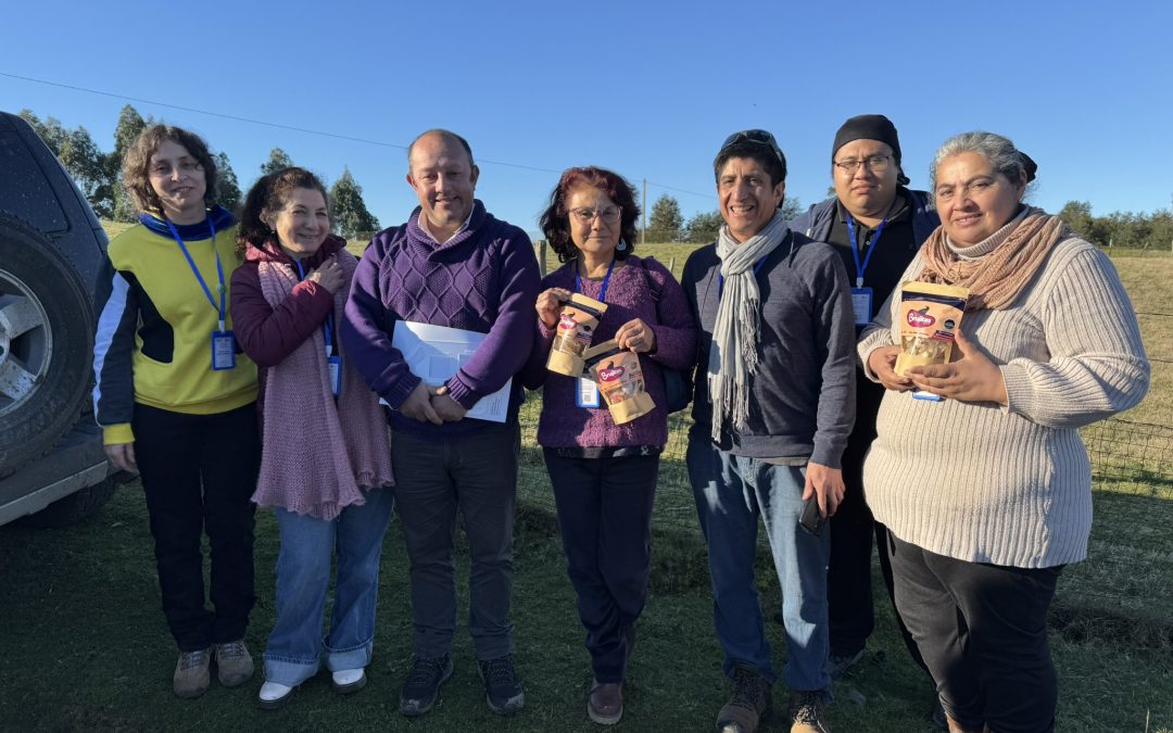 Productores de papa de La Araucanía participan en gira técnica a Chiloé para mejorar productividad