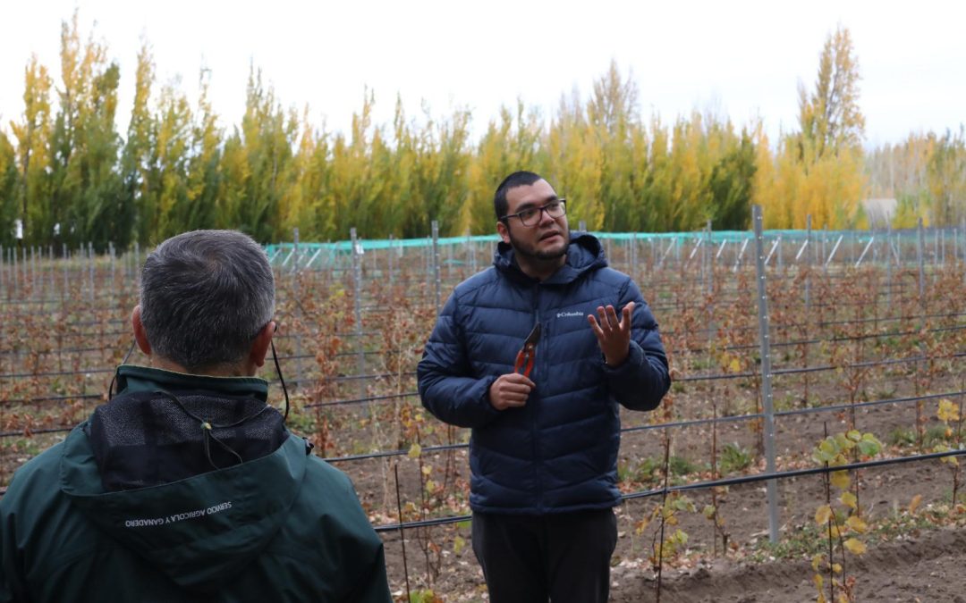 OIV 2025: investigador de INIA Raihuén recibe premio internacional  por libro sobre vitivinicultura y cambio climático