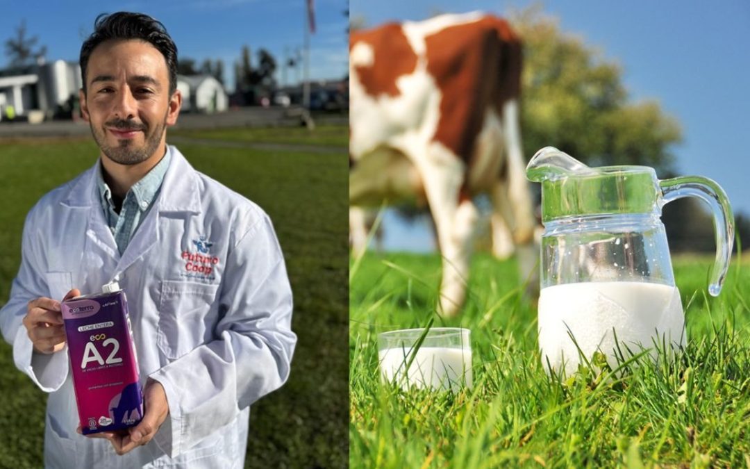 ¿Qué es la leche A2 y por qué es diferente?