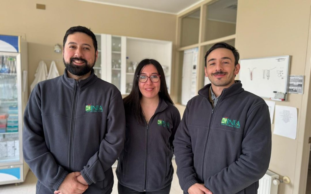 Investigadores de INIA participarán como jueces en primer concurso internacional de quesos a realizarse en Chile