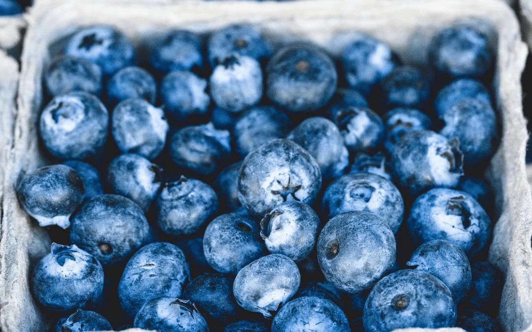 Recubrimientos comestibles para frutas: INIA La Platina publica nueva ficha técnica