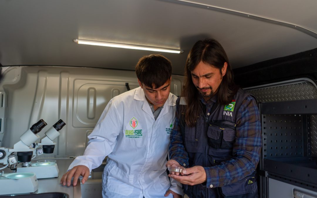Estudiantes aprenden a producir insectos benéficos en Coquimbo