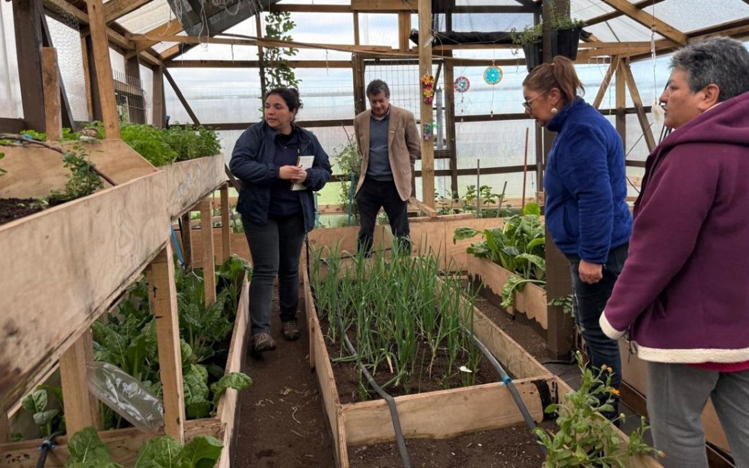 INIA Remehue presta apoyo a Invernadero Comunitario del sector Quinto Centenario en Osorno