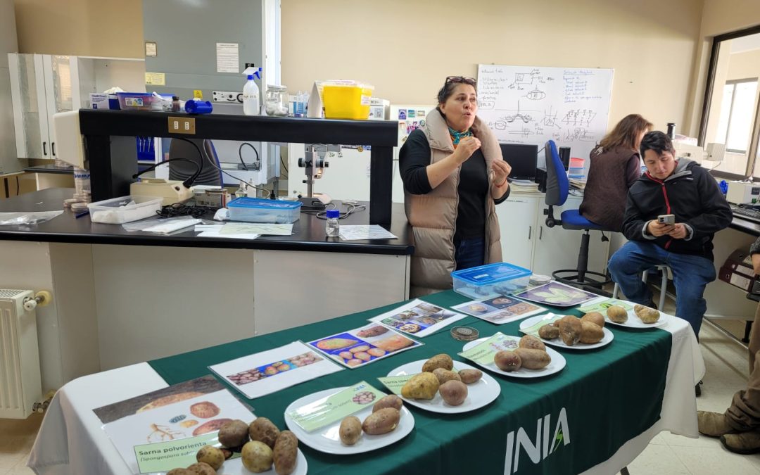 INIA Remehue impulsa prácticas sustentables en cultivos y hortalizas de la agricultura familiar campesina