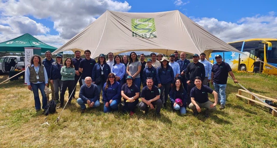 INIA promueve la innovación en sistemas agropecuarios  para el secano en Día de Campo en Cauquenes