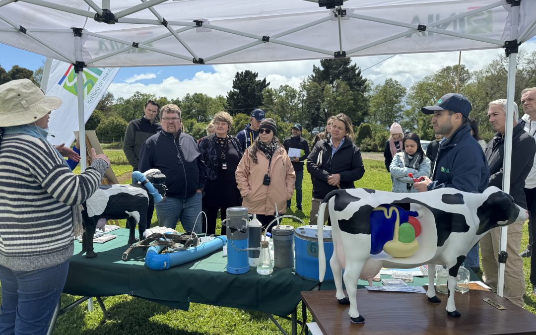 Delegación de la Cumbre Mundial de la Leche conoce avances científicos y tecnológicos en su visita a INIA Remehue