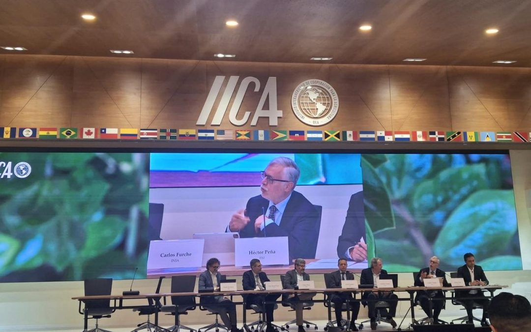 Director de INIA Chile expone en la sede del IICA en Costa  Rica sobre políticas agroalimentarias sostenibles