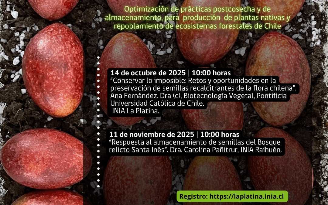 “Conservar lo imposible: retos y oportunidades en la preservación de semillas recalcitrantes de la flora chilena”,