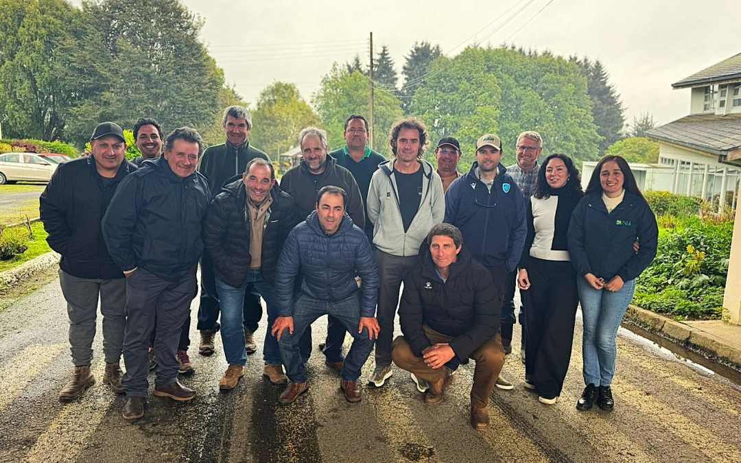 Productores lecheros uruguayos visitan INIA Remehue