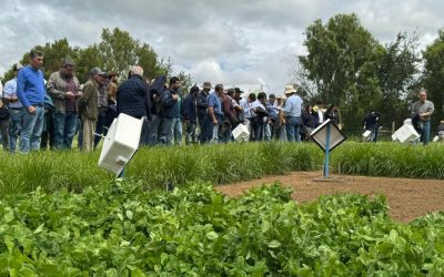 5a0cf6b5-0a13-4c30-930a-5415f83047d2