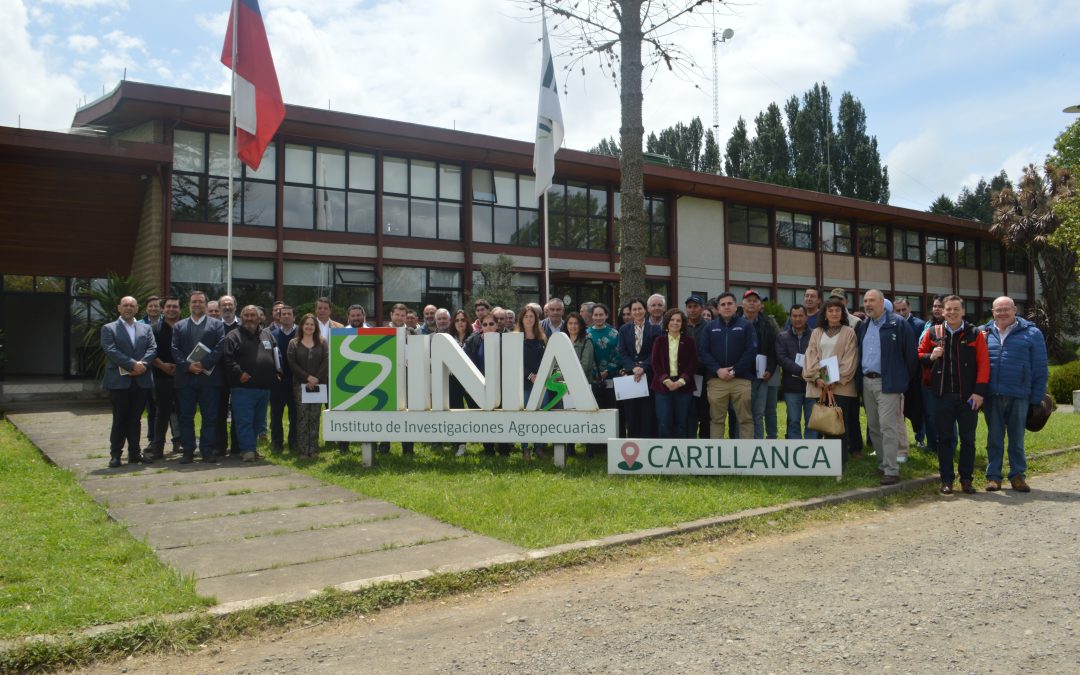 Gracias a iniciativa liderada por INIA y ODEPA, con apoyo de MINAGRI: alianza pública y privada busca fortalecer la cadena de valor del trigo en Chile