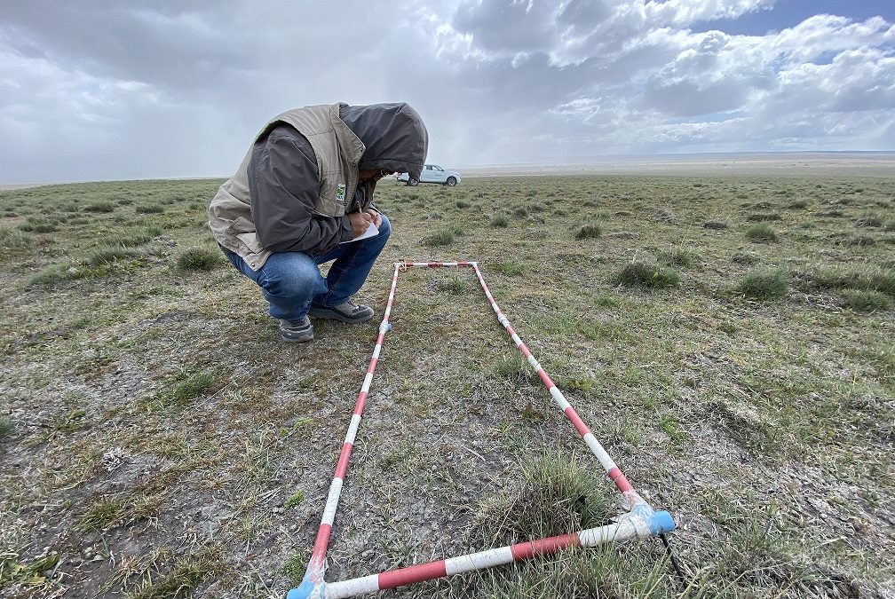INIA Kampenaike abre inscripciones para la 7ª versión del curso “Introducción a la Botánica: flora y vegetación de la estepa de magallanes”