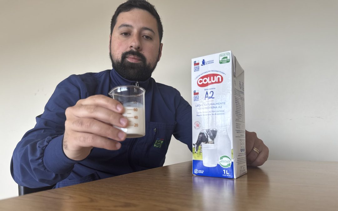 Leche A2 despierta expectativas entre consumidores según estudio presentado por INIA en el XXV Congreso de Nutrición