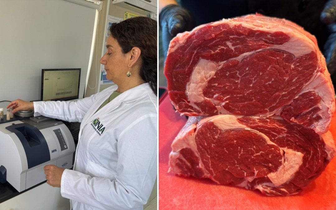 Publican paper sobre ácidos grasos presentes en carne bovina producida a pastoreo utilizando tecnología NIRS