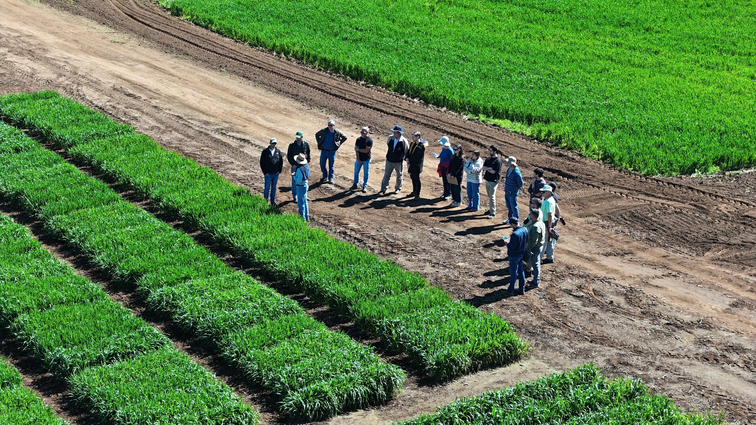 WhatsApp Image 2025-11-04 at 15.42.22