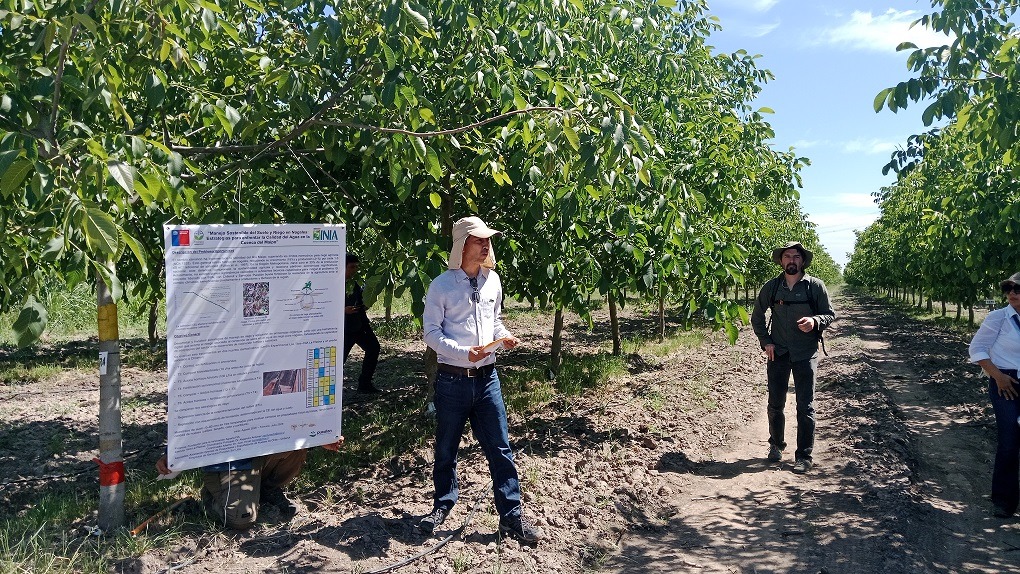 proyecto rio maipo inia los tilos (1)