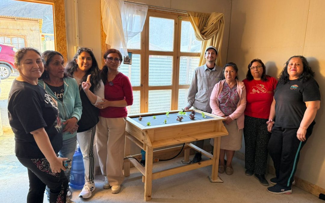 INIA Intihuasi impulsa hidroponía en Atacama para enfrentar la crisis hídrica