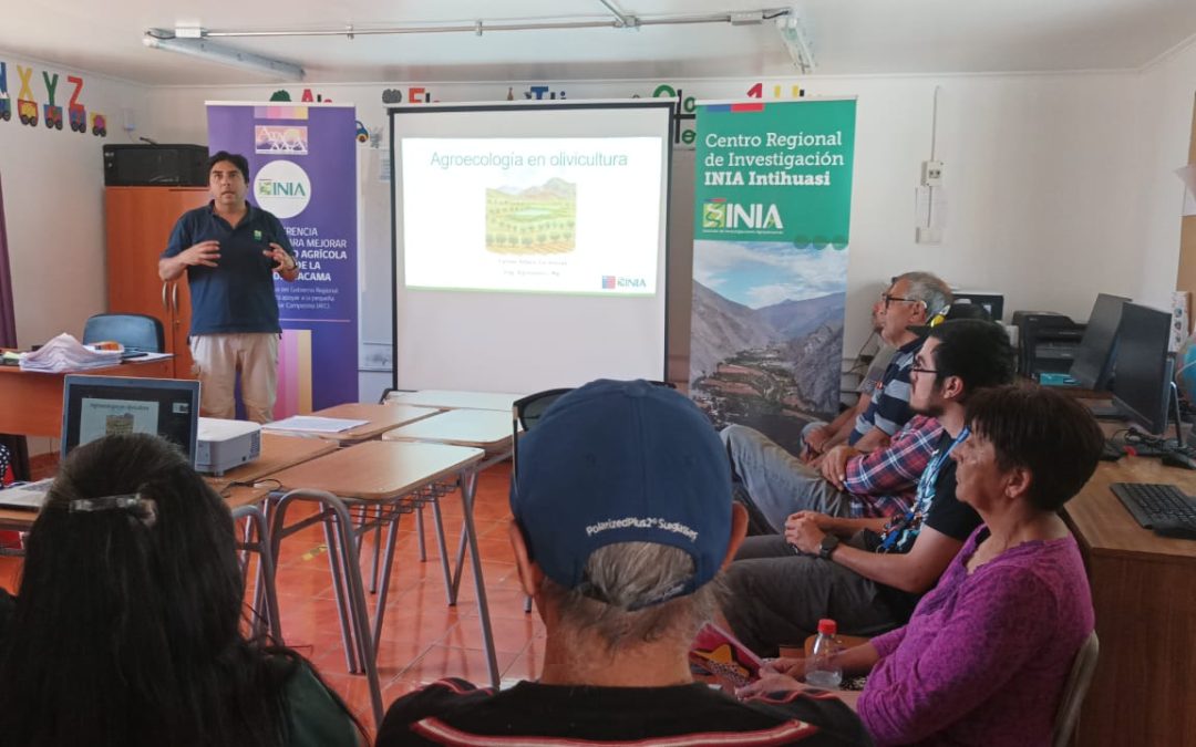 Comunidad de Totoral fortalece la agroecología en olivicultura y establece línea base para la recuperación sustentable de huertos