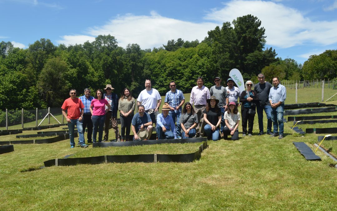 Unidad Demostrativa de INIA permitirá medir concentraciones de fósforo derivados de la agricultura en la Cuenca del Lago  Villarrica
