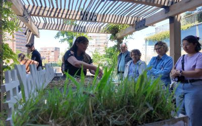 TALLER INIA EN EL MUT (7)