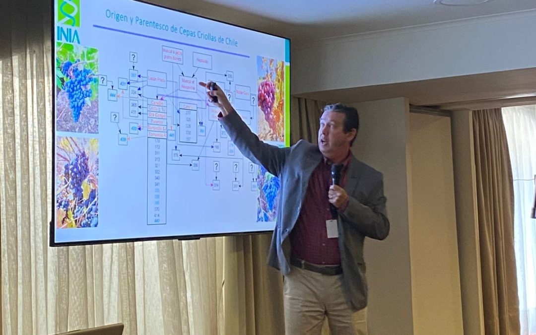 INIA impulsa la protección del patrimonio genético de la vid en el XVII Congreso Latinoamericano de Viticultura y Enología 2025