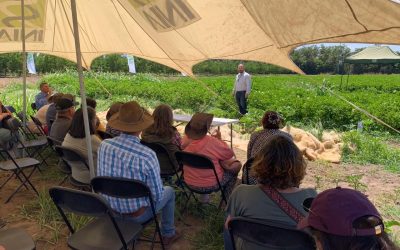 dia campo papa en inia los tilos (1)