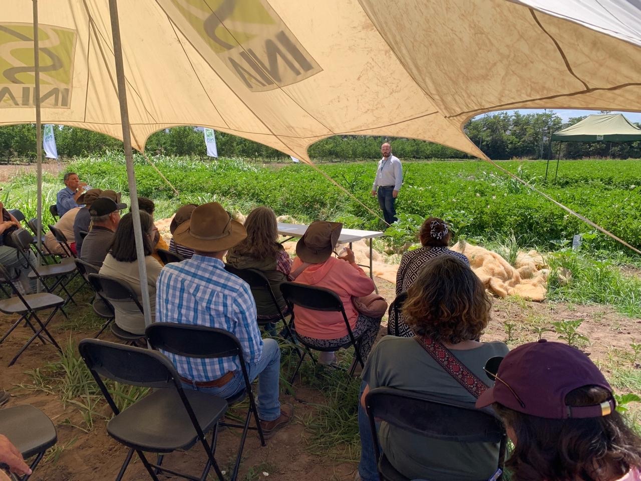 dia campo papa en inia los tilos (1)