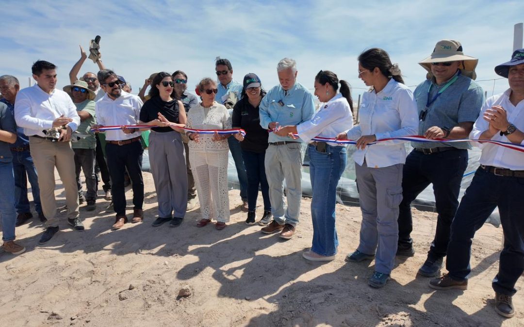 Arica se proyecta como referente en investigación agrícola en condiciones extremas