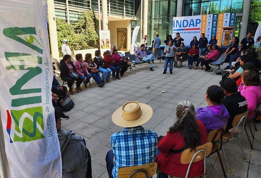 Programa TAS secano interior de Ñuble 1