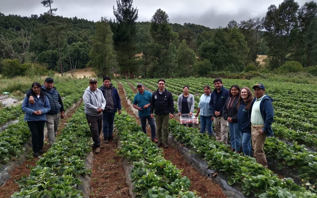 Ejecutivo Gobierno Regional se reúne en terreno con cooperativas