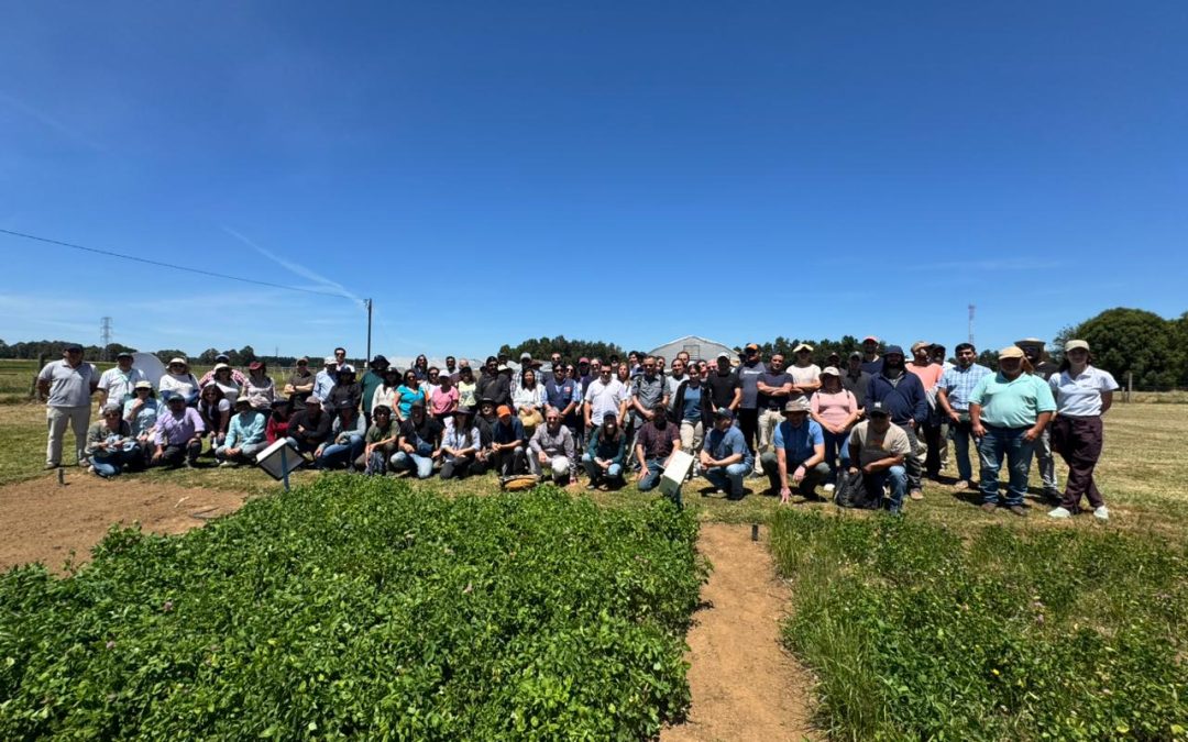 INIA realizó taller y día de campo sobre praderas y balance de nutrientes en el sur de Chile
