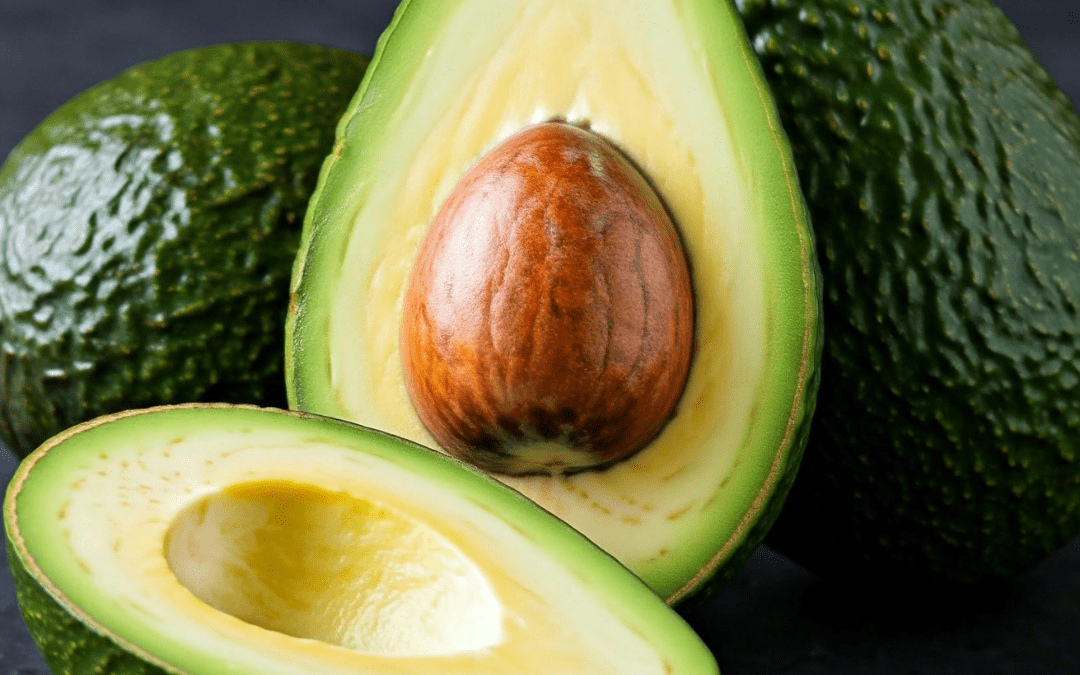 Agentes naturales buscan extender la  vida útil de la palta Hass en postcosecha