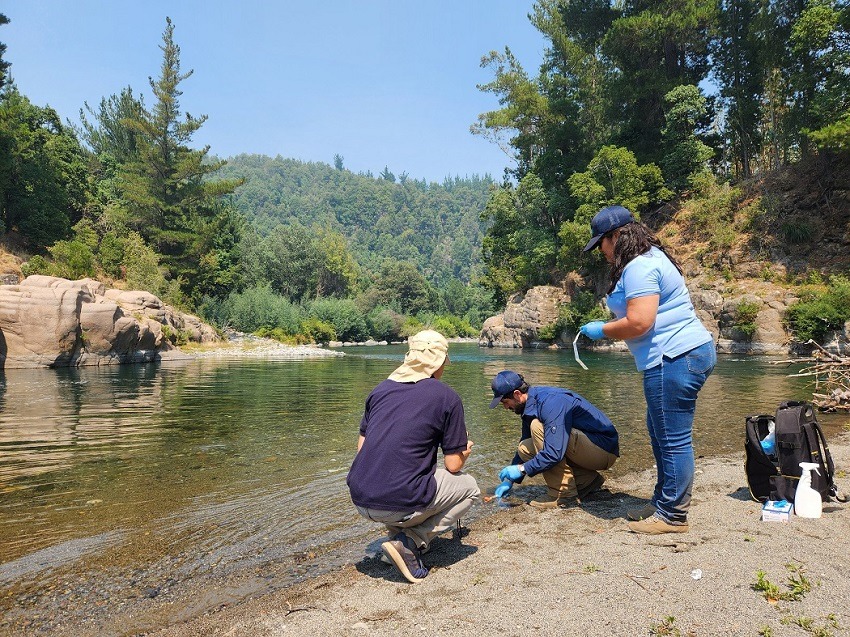 Científicos rescatan microorganismos nativos antes de inundación del Embalse Zapallar en Ñuble