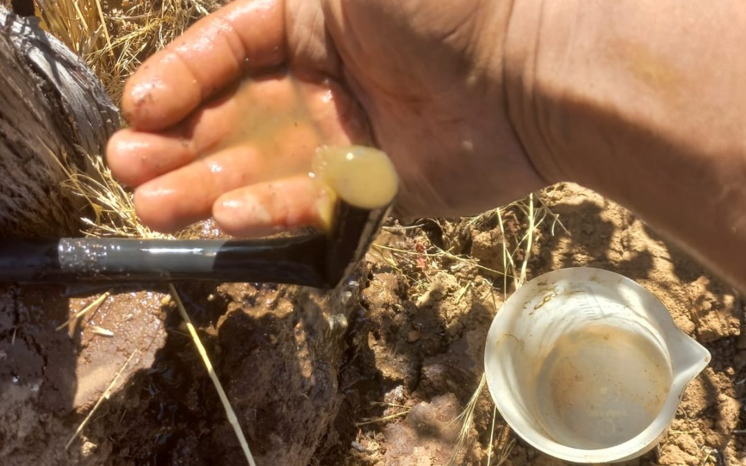 Día Mundial del Agua: Especialista de INIA Rayentué entrega recomendaciones para riego agrícola