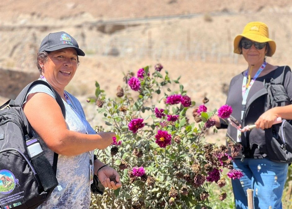Mujeres agricultoras de Atacama fortalecen la innovación agroecológica con apoyo de FIA