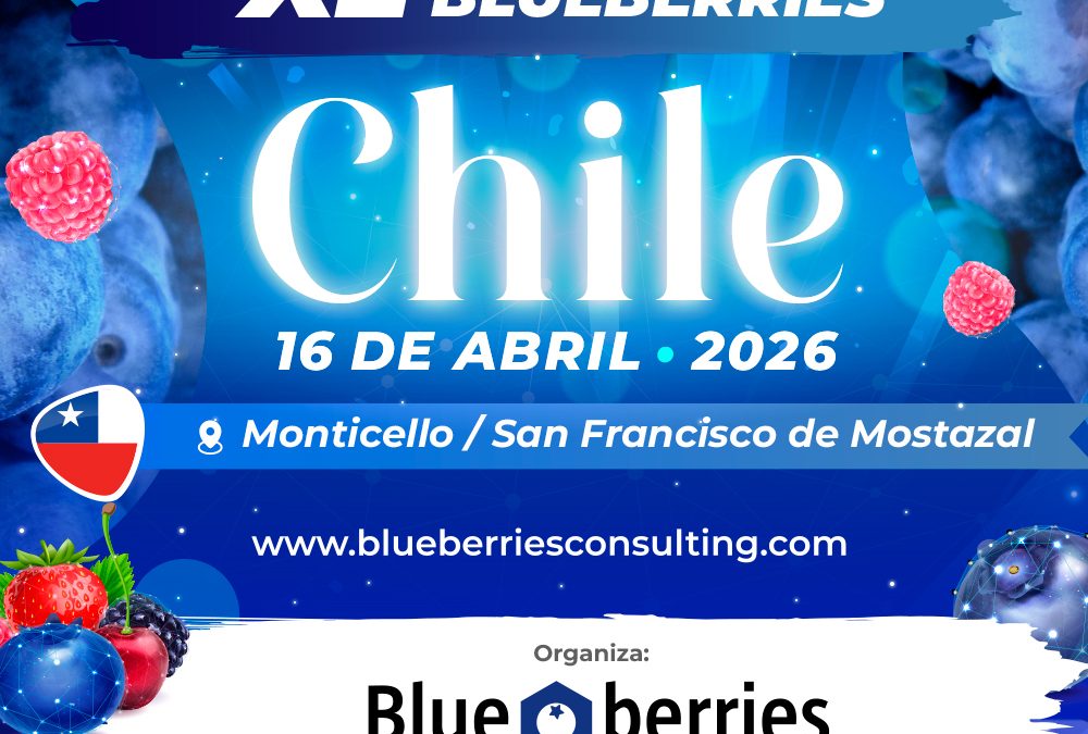 INIA presente en el XL Seminario Internacional Blueberries Chile 2026