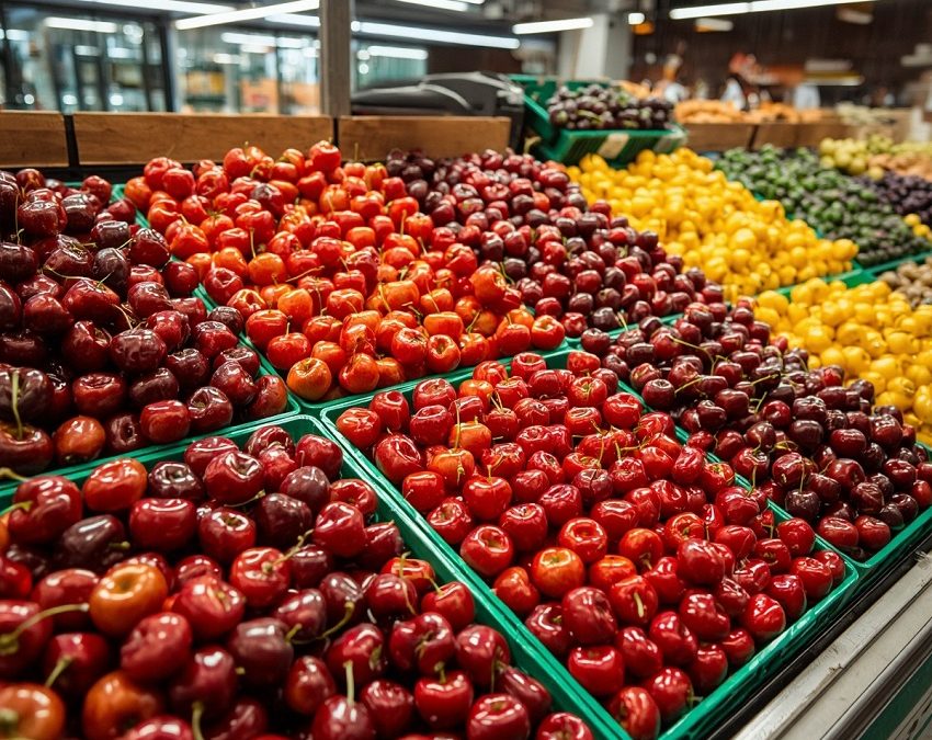 “Más de agraz que de dulce”: balance de la reciente temporada de cerezas chilenas
