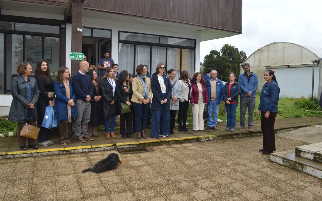 Coordinadora Residente de Naciones Unidas en Chile visita Centro Regional de la Papa de INIA