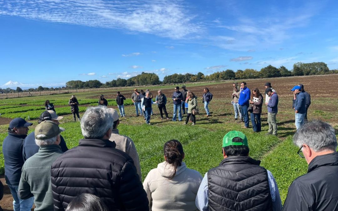 Proyecto permitirá reducir dependencia de fertilizantes nitrogenados