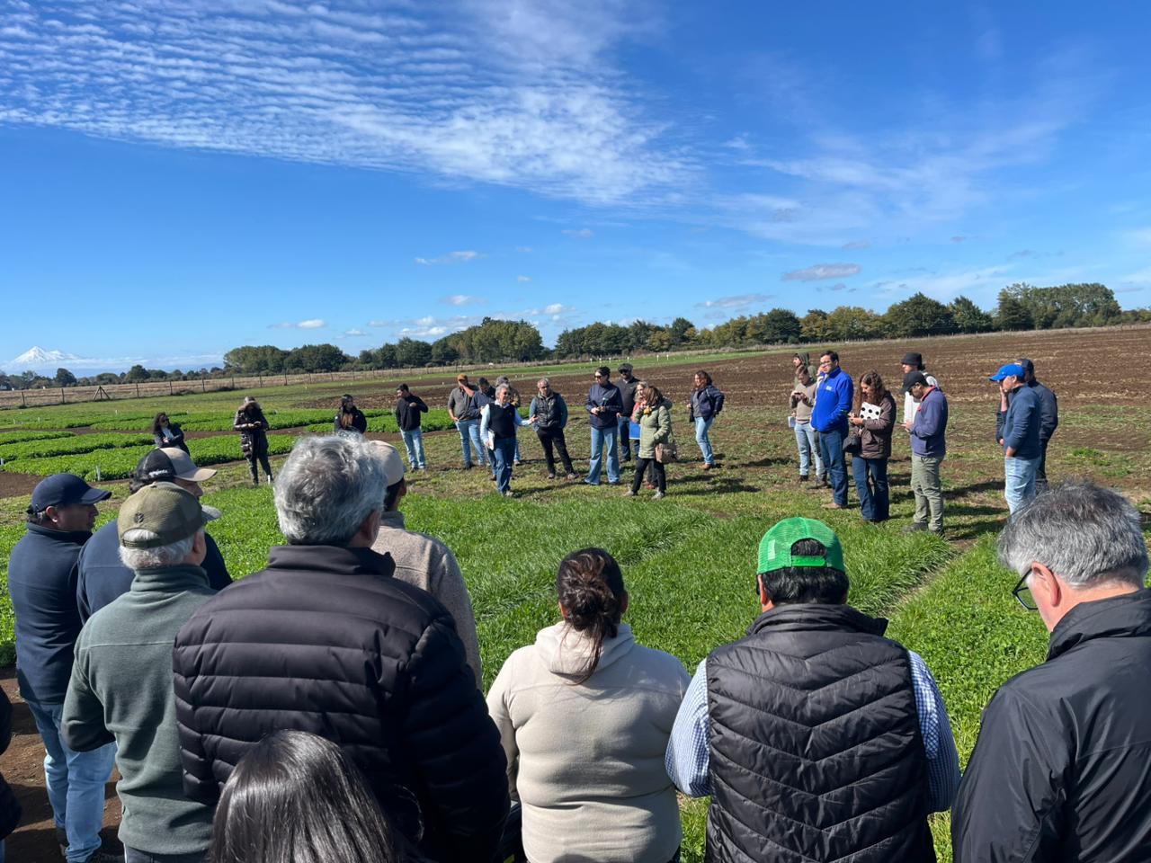 WhatsApp Image 2026-04-01 at 16.50.55 (2)