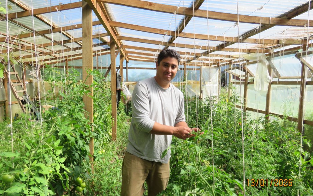 La Araucanía avanza hacia una agricultura más sustentable con más de 100 agricultores en proceso de transición agroecológica