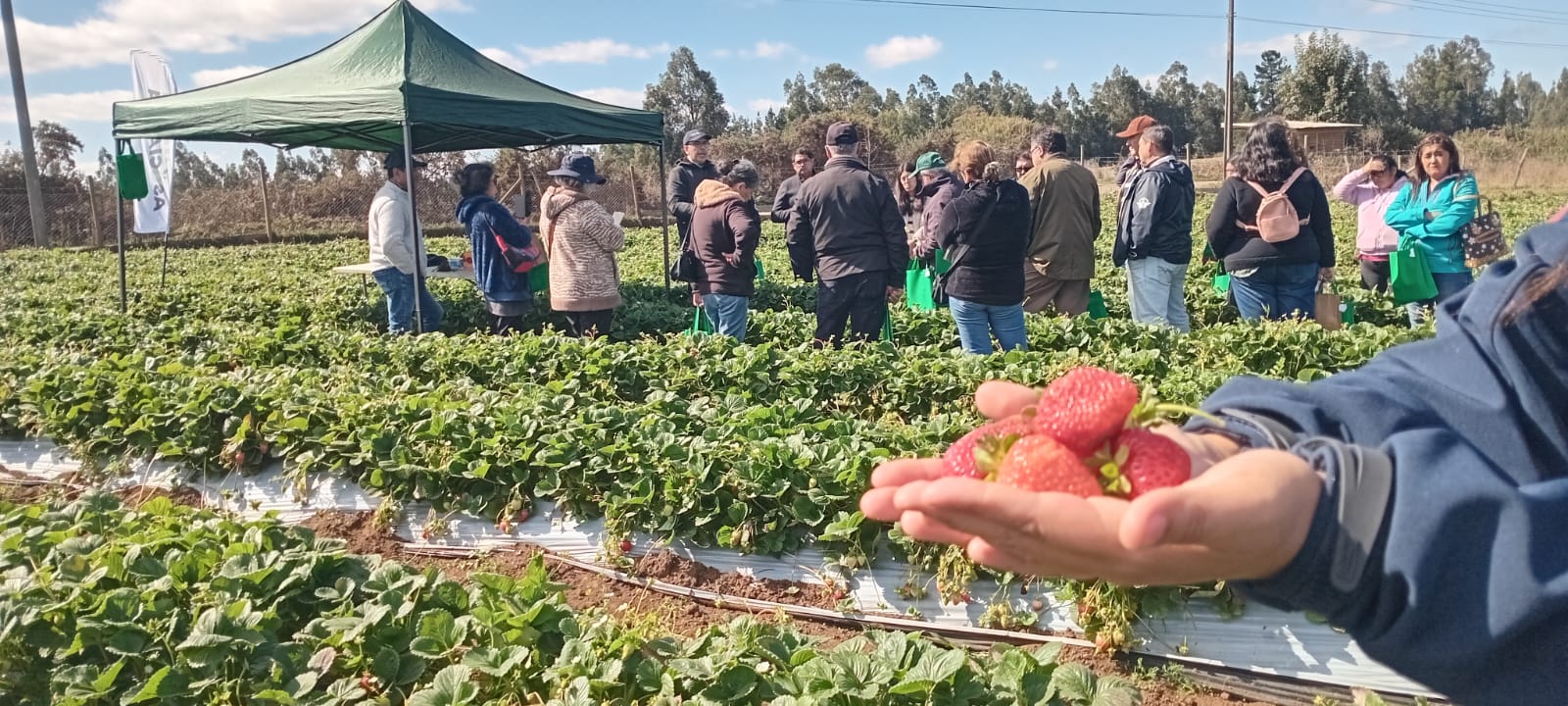 WhatsApp Image 2026-04-08 at 13.16.59