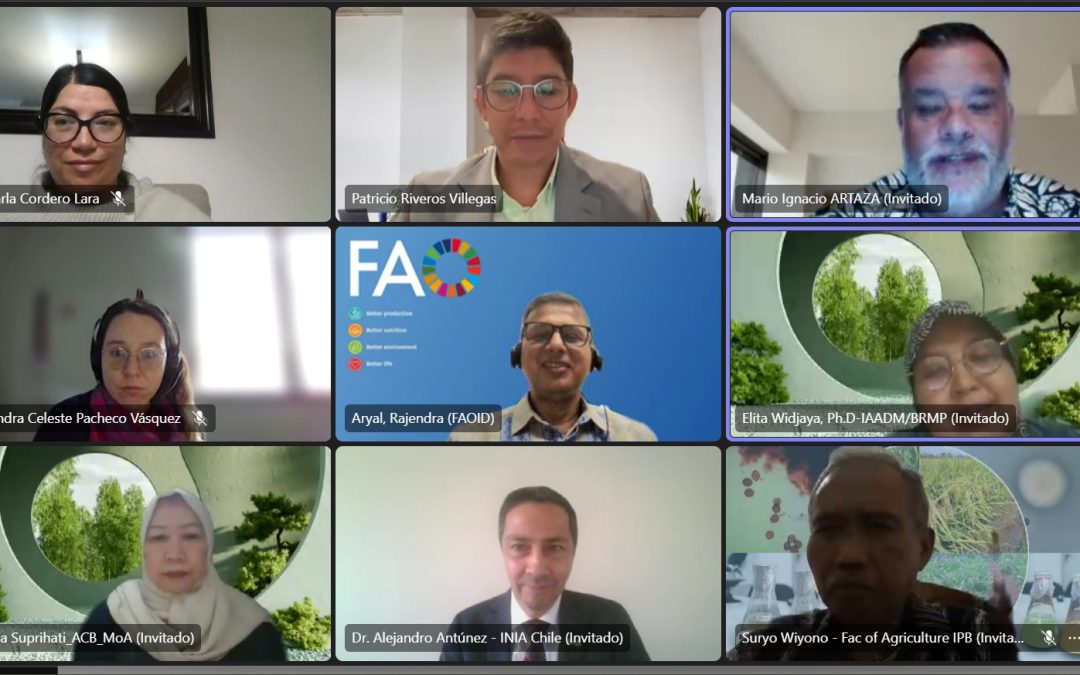 INIA Chile comparte con Indonesia avances en producción de arroz climáticamente inteligente