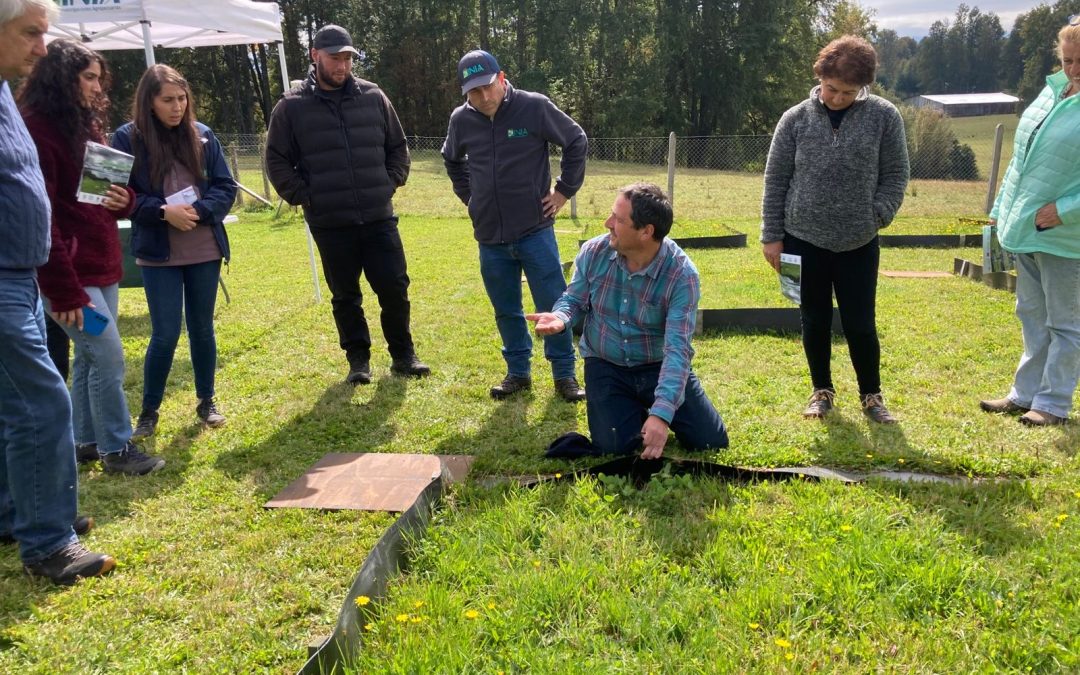 Especialistas abordan manejo sustentable del fósforo en taller realizado en la cuenca del Lago Villarrica