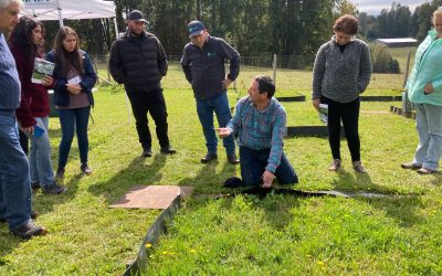 af0d44de-e7e5-49c2-a7f5-dce3f9d995f5